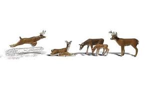 Deer
