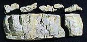 BASE ROCK MOLD