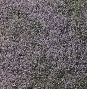PURPLE FLOWERING FOLIAGE