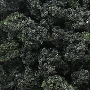 BUSHES FOREST BLEND