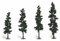 4-6 CONIFER 24/KIT