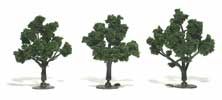 MEDIUM GREEN 3"-4" TREES