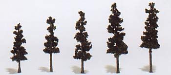2 1/2-4" CONIFER GREEN TREES