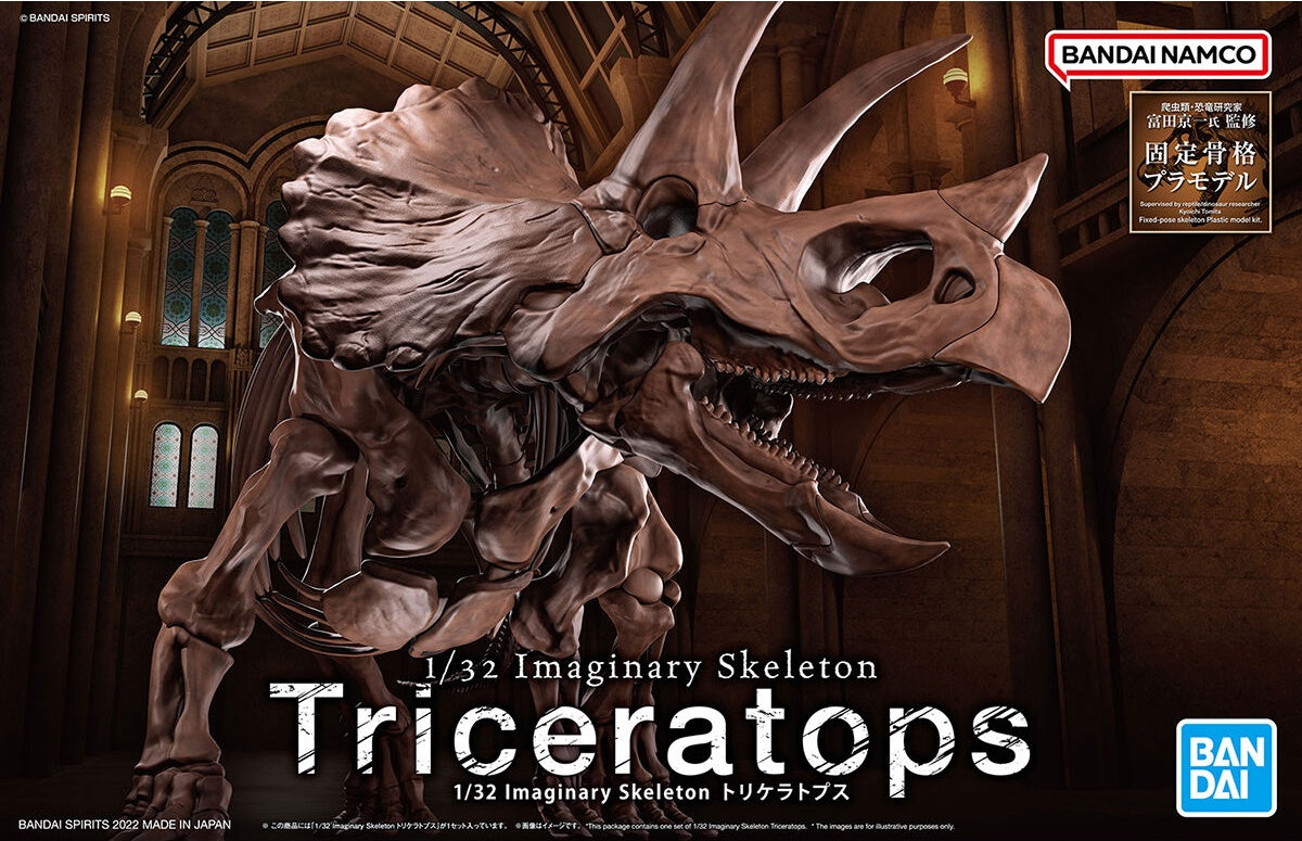 Imaginary Skeleton Triceratops