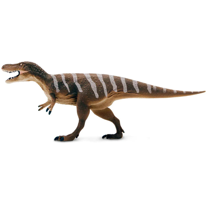 Nanotyrannus Dinosaur